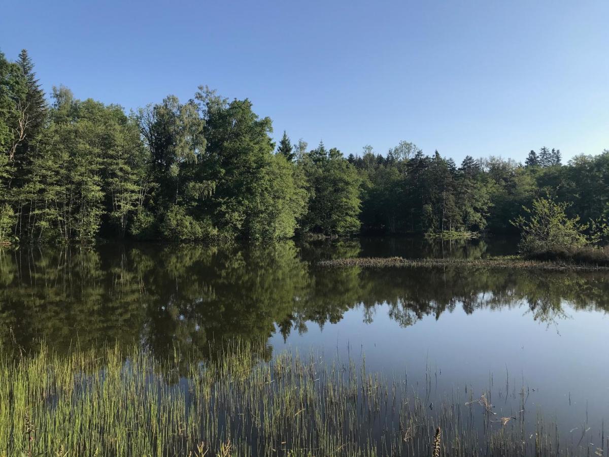 Gite Des Prary Des Mille Etangs Ternuay-Melay-et-Saint-Hilaire Dış mekan fotoğraf