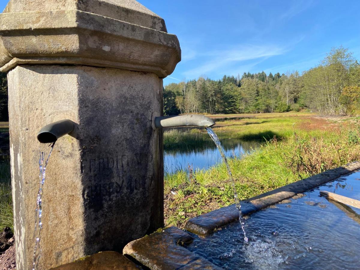 Gite Des Prary Des Mille Etangs Ternuay-Melay-et-Saint-Hilaire Dış mekan fotoğraf
